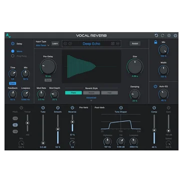 Vocal Reverb