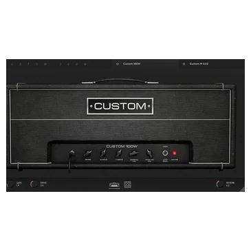 Custom 100W